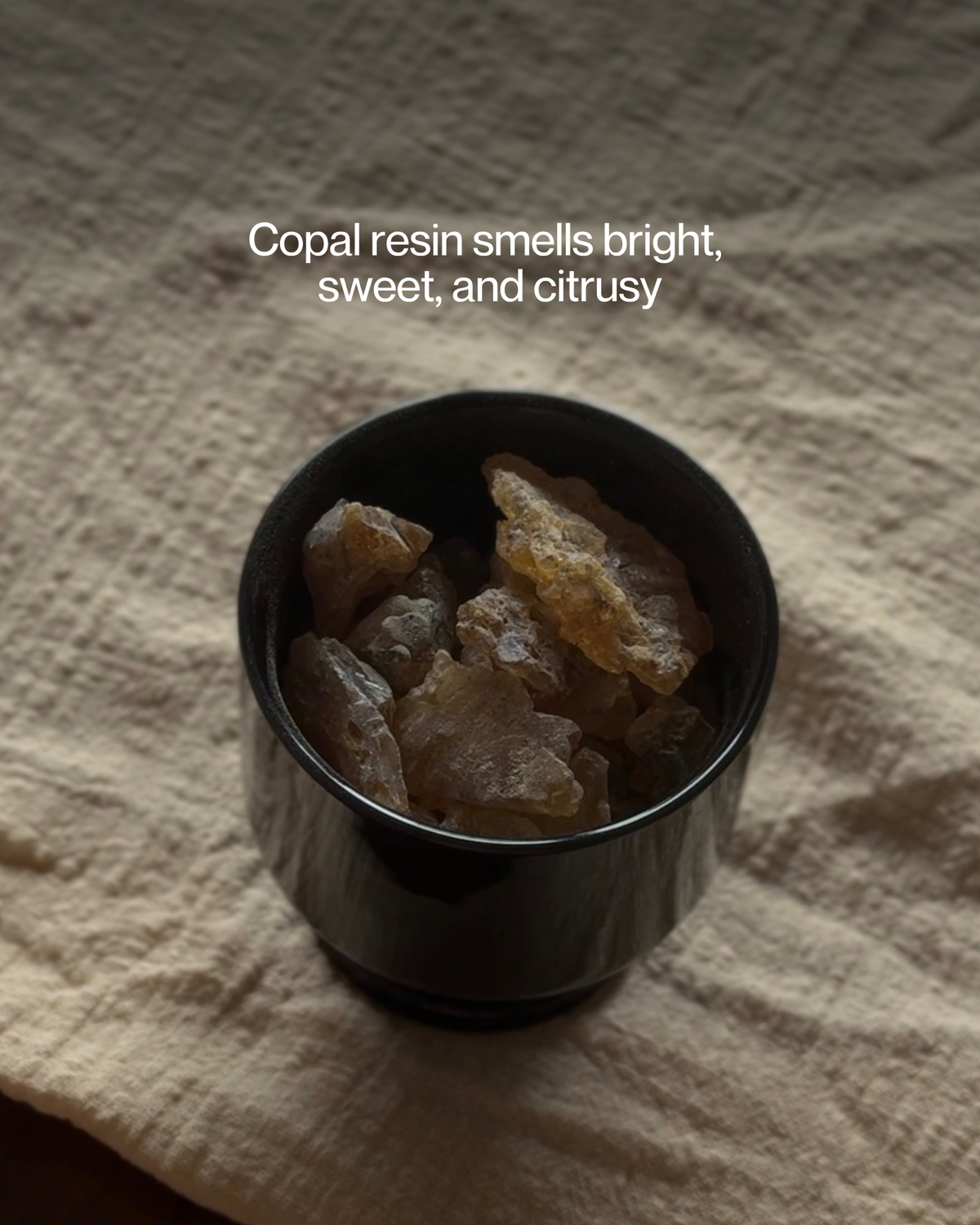 Purification - Palo Santo & Copal (12 sticks)
