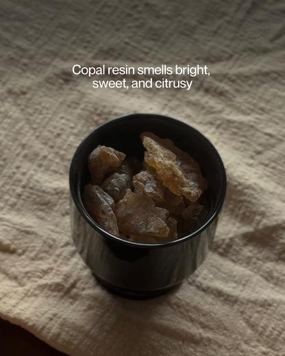 Purification - Palo Santo & Copal (12 sticks)