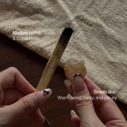 Purification - Palo Santo & Copal (12 sticks)