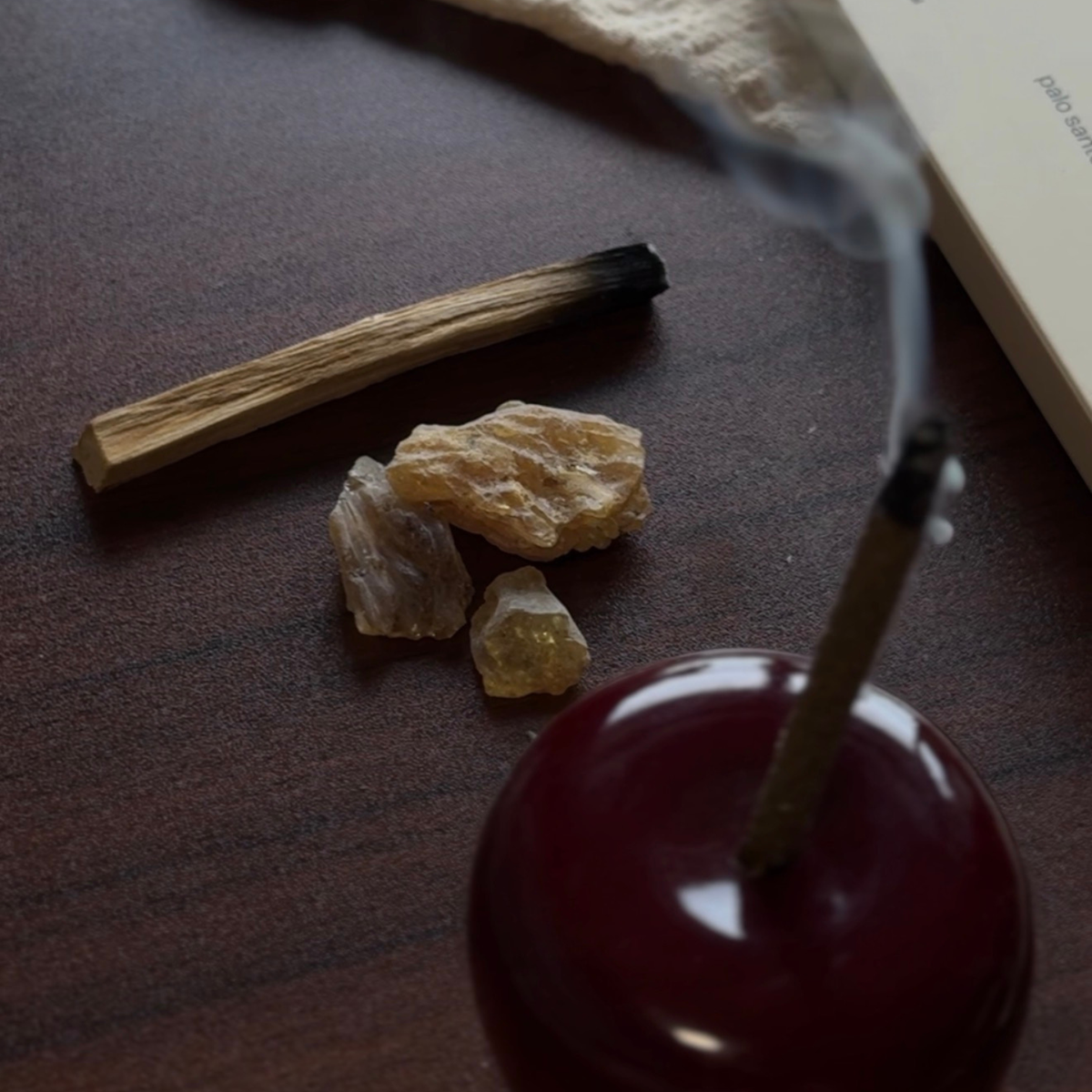 Purification - Palo Santo & Copal (12 sticks)