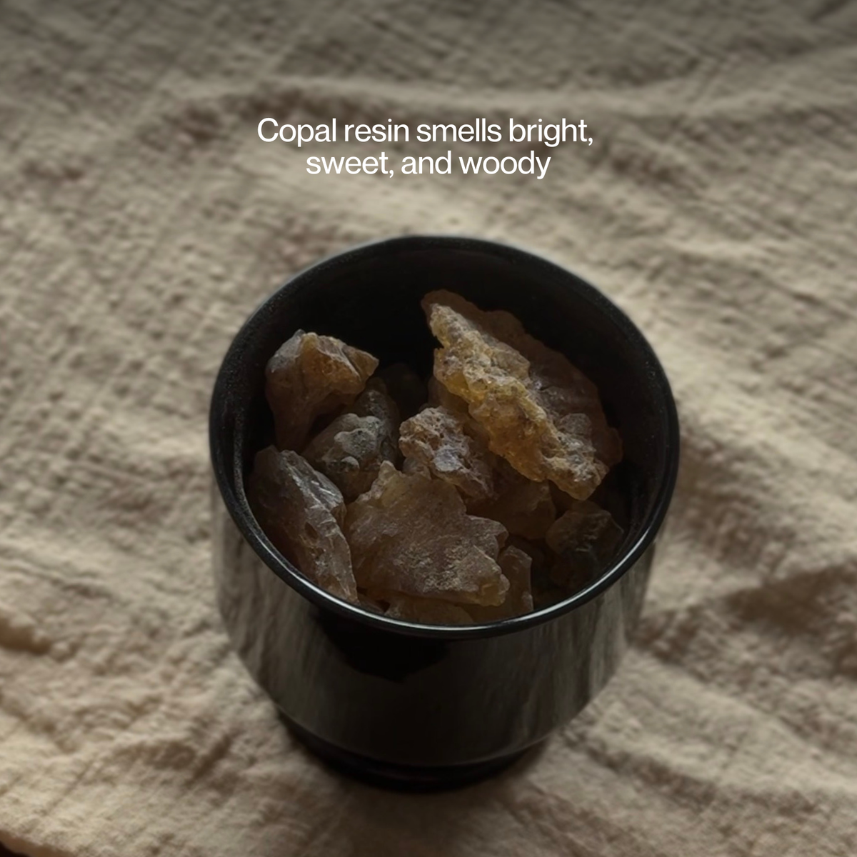 Purification - Palo Santo & Copal (12 sticks)