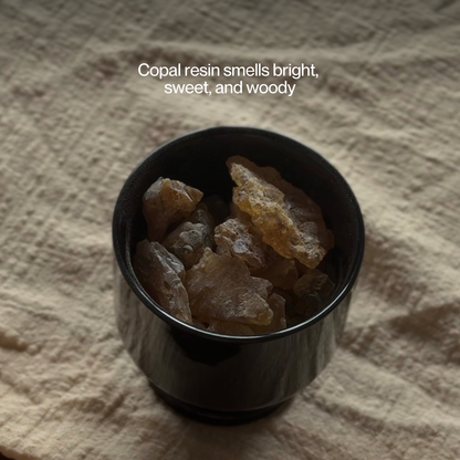 Purification - Palo Santo & Copal (12 sticks)